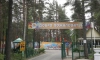 Школьники из Мариуполя приедут на отдых в петербургский оздоровительный лагерь