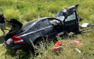 В Саратовской области 12 человек пострадали в ДТП