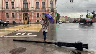 В Петербурге объявили оранжевый уровень опасности из-за дождя
