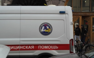 В посёлке Богатыри 16-летняя школьница по неосторожности наехала на автомобиле на 7-летнего мальчика