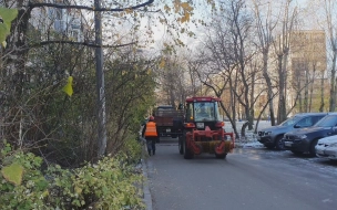 За неделю с улиц Петербурга вывезли более 1,2 тысячи кубометров мусора