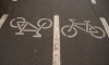 В конце июля появится велодорожка в Курортном районе Петербурга