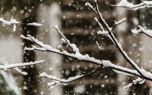 Петербуржцев в ближайшие дни ждет новая порция снегопадов
