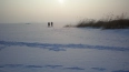 Девушка замёрзла насмерть в поле по дороге в Мурино