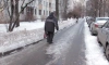 Петербургские пенсионеры требуют отставки Беглова из-за плохой уборки города