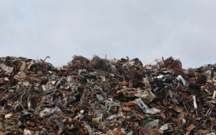 На мусорном полигоне в Гатчинском районе взяли пробы воздуха