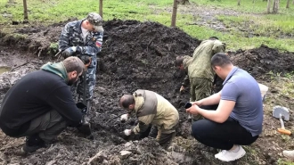 На территории парка "Сильвия" в Гатчине найдены 45 останков убитых мирных жилетей и военнопленных