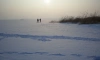 Девушка замёрзла насмерть в поле по дороге в Мурино
