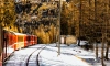 В субботу петербуржцев приглашают отправиться на поезде в фототур к Деду Морозу в Карелию