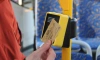 В Ленобласти изменилась стоимость проезда на 12 автобусных маршрутах