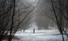 Гребень высокого атмосферного давления принесет в Петербург снег и порывистый ветер