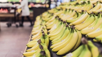 Роскачество обнаружило пестициды в бананах, выращенных в Эквадоре