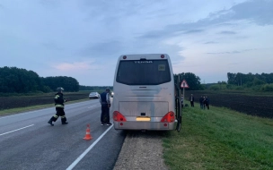 В ДТП с участием пассажирского автобуса под Тамбовом пострадали восемь человек