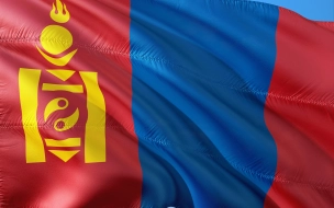 Солдаты в Монголии открыли огонь по сослуживцам