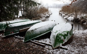 Стало известно, чей обмороженный труп нашли у лодочной станции в Сестрорецке