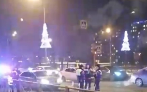 На Пулковском шоссе водитель совершил смертельный наезд на пешехода