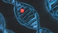 Ученые создали наноантенну из молекул ДНК