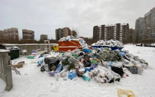 В Петербурге в рамках мусорной реформы заменят около 20 тысяч контейнеров