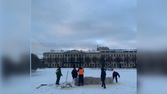 Коммунальщики убрали с Марсова поля арт-объект в виде фекалии