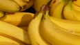 В бананах нашли 50 кг наркотиков на овощебазе Петербурга