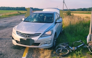 На трассе "Кириши-Городище-Волхов" сбили велосипедиста