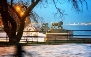 Синоптик Леус прогнозирует старт зимы в Петербурге с 27 ноября 