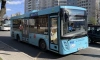 Петербургские автобусы испытывают на экологичность
