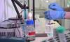 Гинцбург объявил о завершении испытаний вакцины "Спутник V" на пожилых