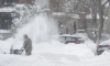 В Петербурге вновь обновился снежный максимум