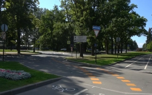 В Петербурге назвали 9 парков с велодорожками