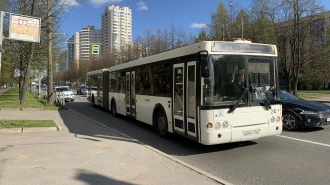 В Петербурге временно продолжат принимать оплату наличными 88 автобусных маршрутов