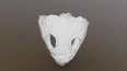 Петербургские учёные создали 3D-модели черепов пермских ...