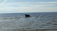 Мужчина на параплане рухнул в Финский залив в Сосновом ...