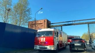 В Красном селе на Стрельнинском шоссе горел автомобиль