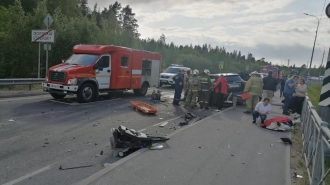 Возбуждено уголовное дело по факту ДТП под Светогорском с гибелью двух водителей