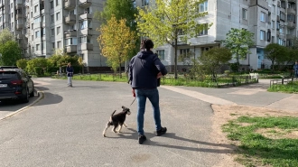 В сентябре в Петербурге солнце светило все 30 дней