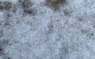 Циклон "Отто" вернет в Северную Столицу оттепель и мокрый снег