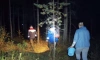 Спасатели из Шлиссельбурга спасли женщину, заблудившуюся в лесу