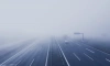 Петербуржцев предупредили об опасном тумане в четверг