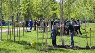 Полторы тысячи петербуржцев приняли участие в акции по озеленению города
