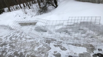 В соцсетях показали "противотюленьи" решетки для нерп Крошика и Шлиссика