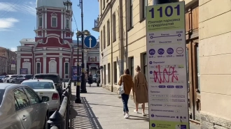 В зоне платной парковки Петербурга могут ввести дифференцированные тарифы