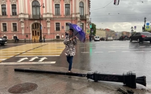 Вода в Неве поднялась на 20 см из-за сильного ветра и ливня