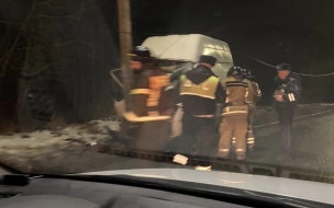 Спасатели в Петергофе вырезали водителя из фургона, угодившего в световую опору