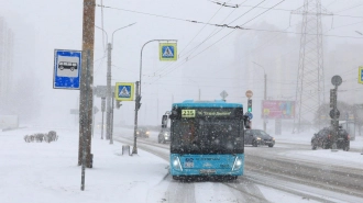 Почти 100 электробусов и 253 автобуса закупит Петербург до конца 2024 года