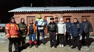 Бездомного кота больше девяти дней спасали в Сланцах