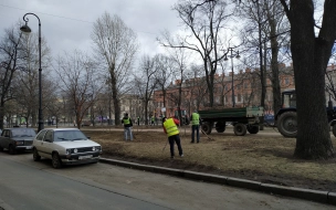 В Петербурге 15 марта будет тепло и дождливо