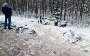 На "Коле" в массовой аварии погиб человек и пострадали дети