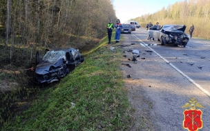 В Ленобласти в аварии погиб 84-летний водитель