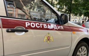 Росгвардейцы задержали петербуржца, угрожавшего пистолетом работникам ТРК